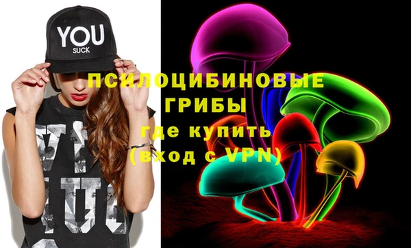 спиды Алексеевка