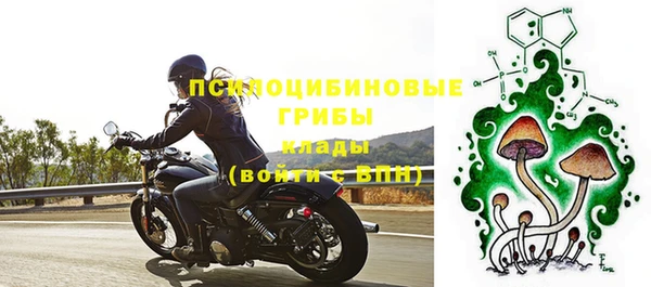 бутират Алексин