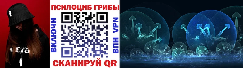 где можно купить   Себеж  Галлюциногенные грибы GOLDEN TEACHER 